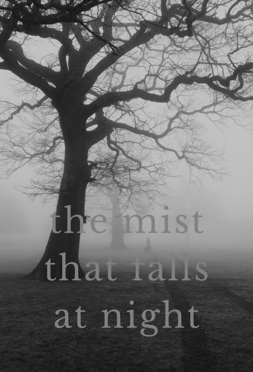 tumblr_inline_oet1k9qilp1sptpzz_500