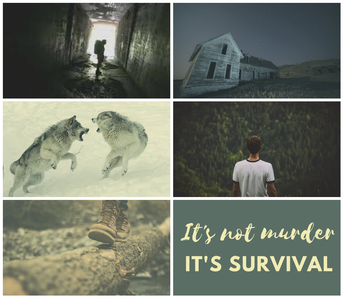 Scavengers aesthetics